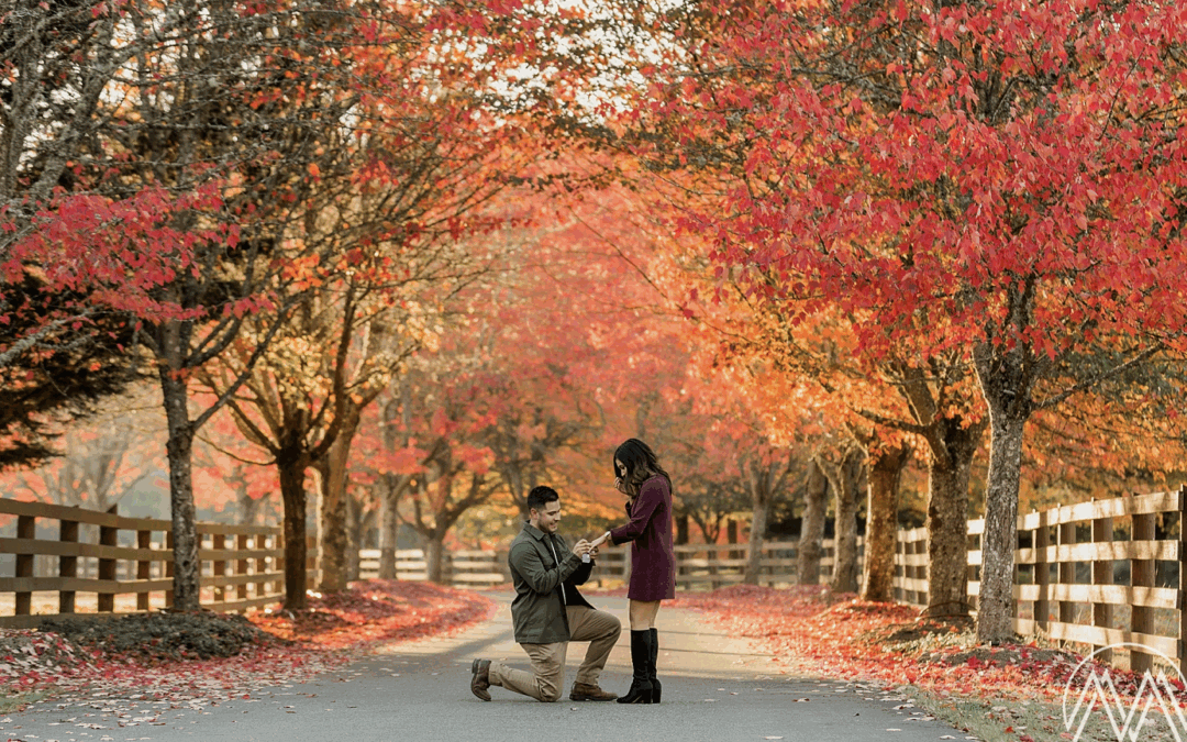 Cozy, Romantic, and Unforgettable: Fall & Winter Proposal Ideas